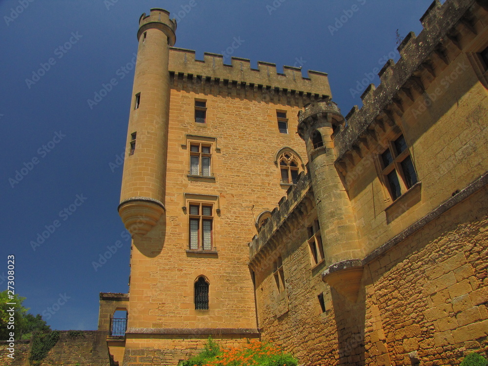Château de Puymartin ; Périgord noir ; Aquitaine Château de Puymartin ; Périgord noir ; Aquitaine