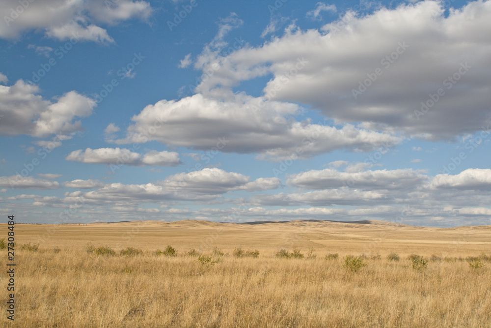 Yellow steppe and sunny sky