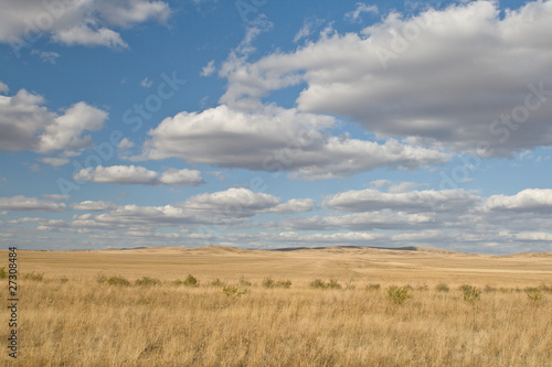 Yellow steppe and sunny sky