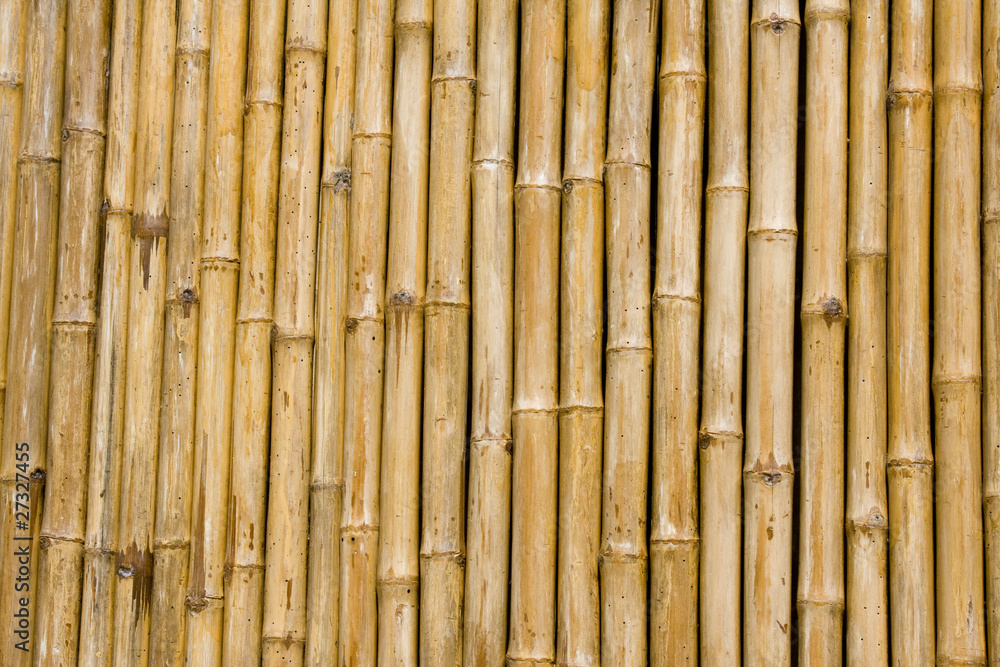 Fototapeta premium Bamboo background