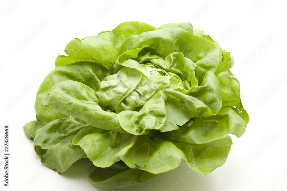 Kopfsalat Kopfsalat