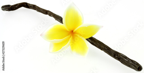 fleur de frangipanier sur gousse de vanille