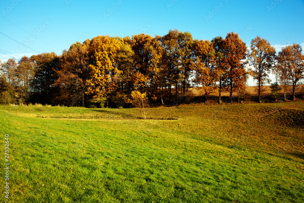 Landschaft im Herbst 736