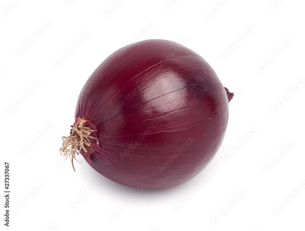 Red onion - obrazy, fototapety, plakaty 