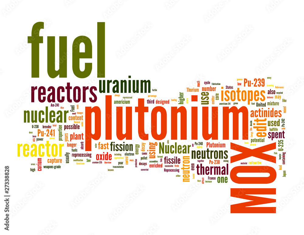 Fototapeta premium Mox Fuel word cloud on white