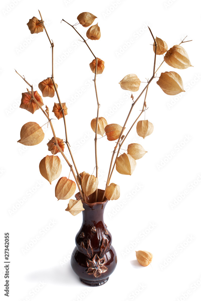 Fototapeta premium Romantic bouquet of dry flower