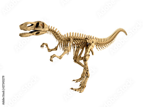 T-Rex Skeleton © fusebulb