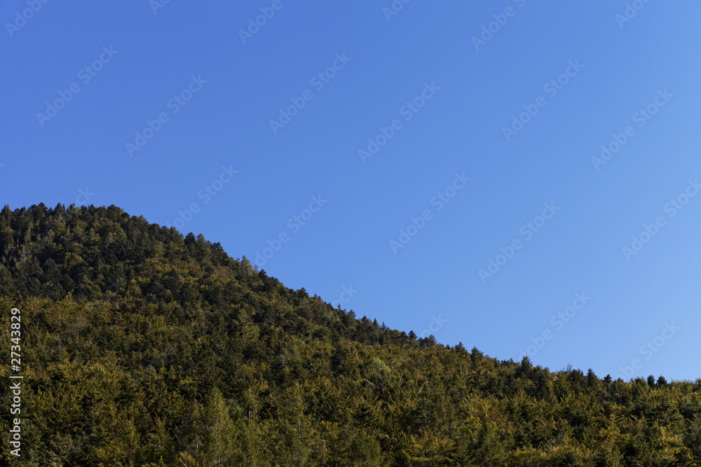 mountain crest wood, clear blue sky