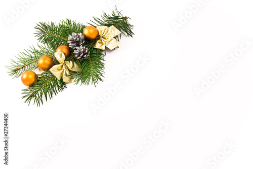 decorated tree branch on white background