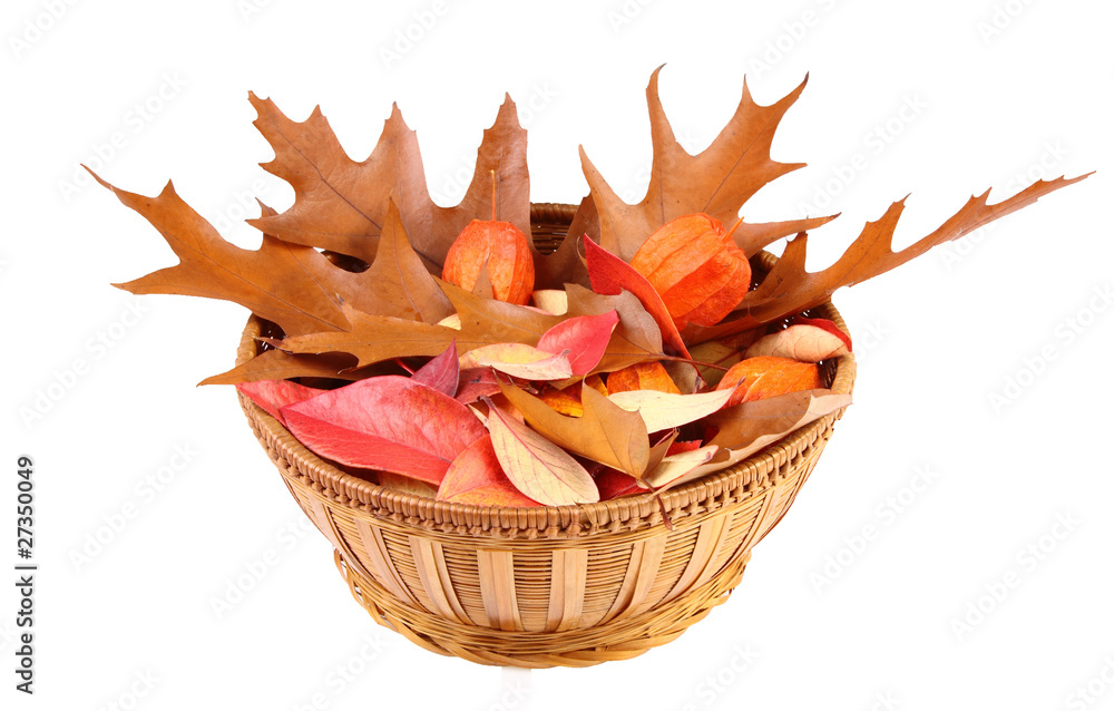 basket of autumn leaves