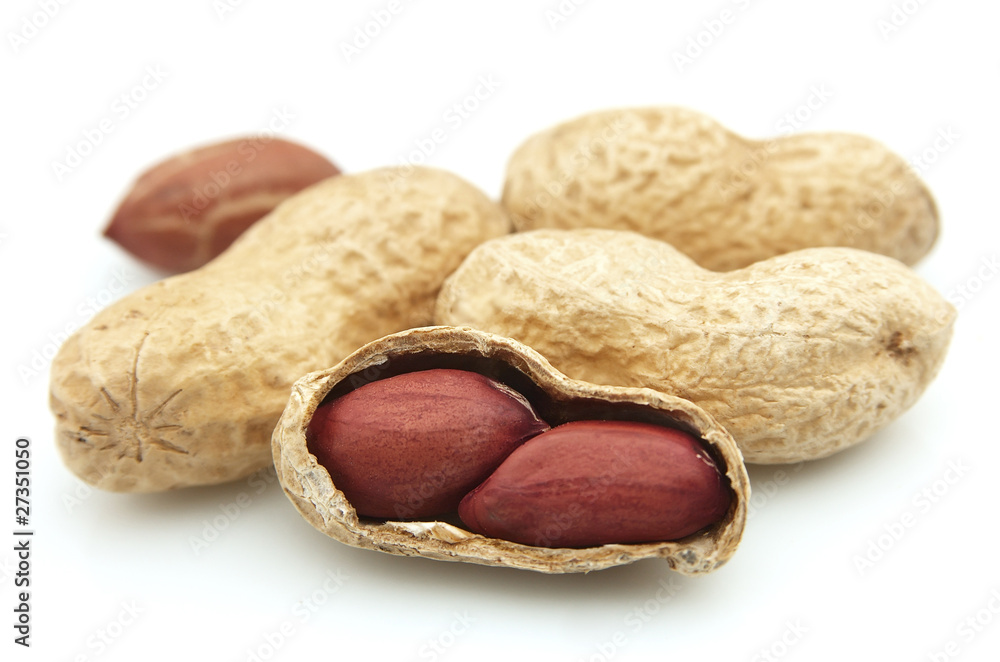 Peanut Peanut
