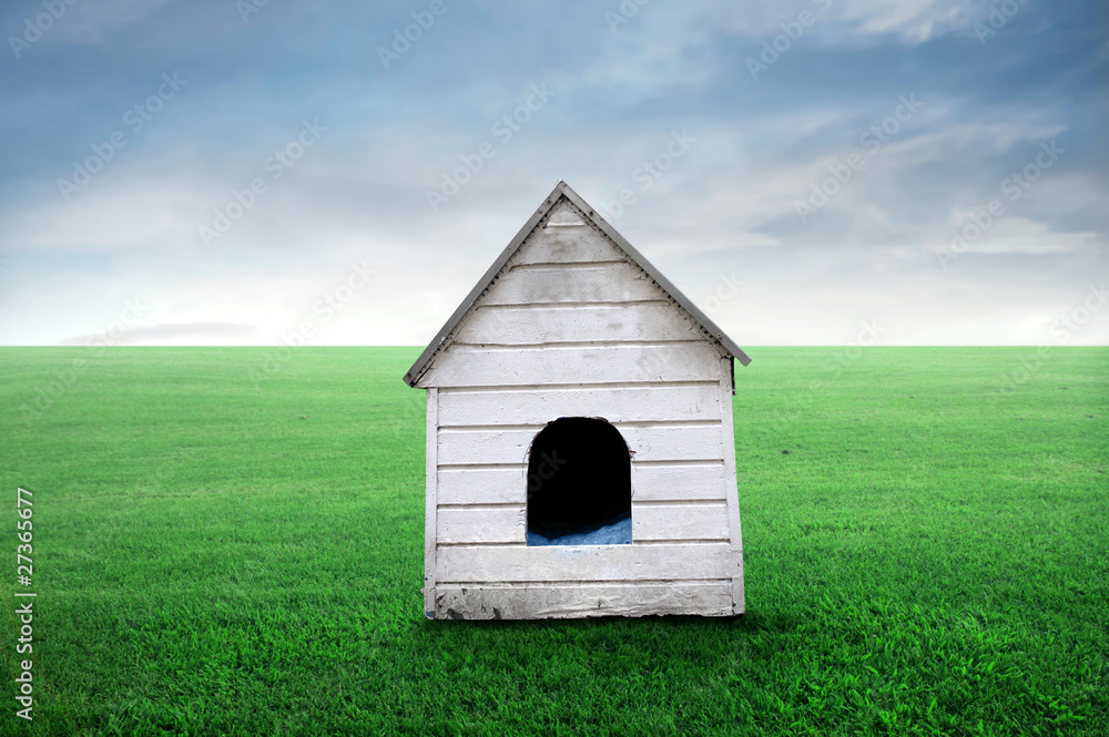 Doghouse Stock Photo Adobe Stock