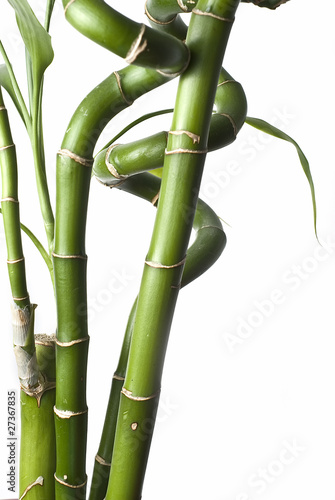 Bambú natural.
