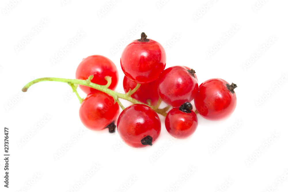 red currant isolated on white