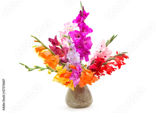 Valokuva bouquet of colored gladioli isolated on white.