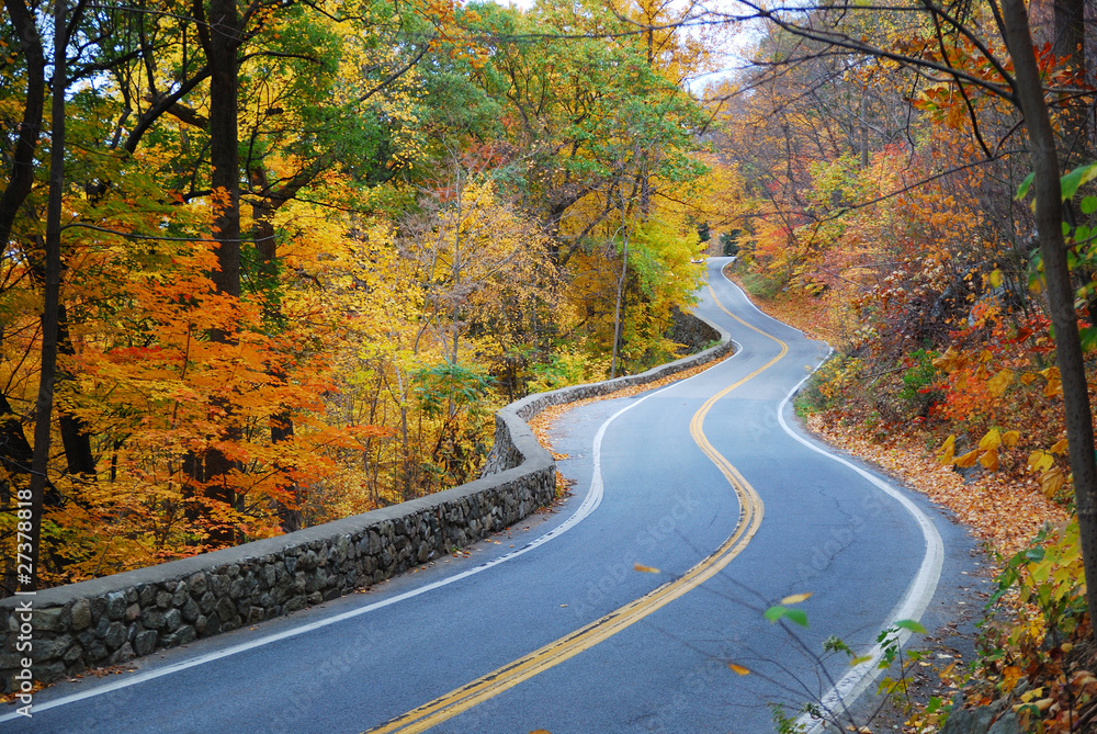 Winding Autumn road with colorful foliage