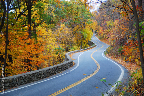 Winding Autumn road with colorful foliage © rabbit75_fot