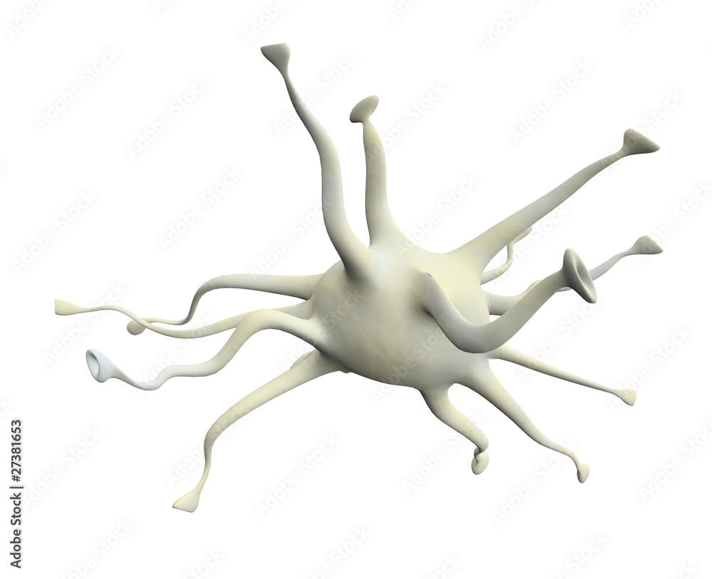 neuronal neuronal