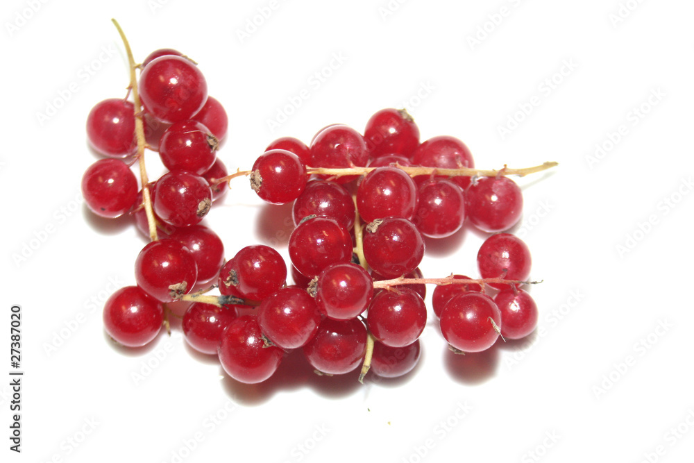 groseilles groseilles