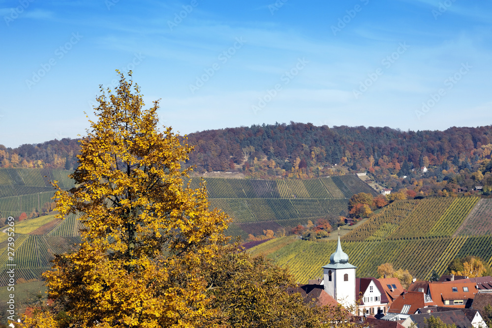 Obraz premium Weinberg Rotenberg