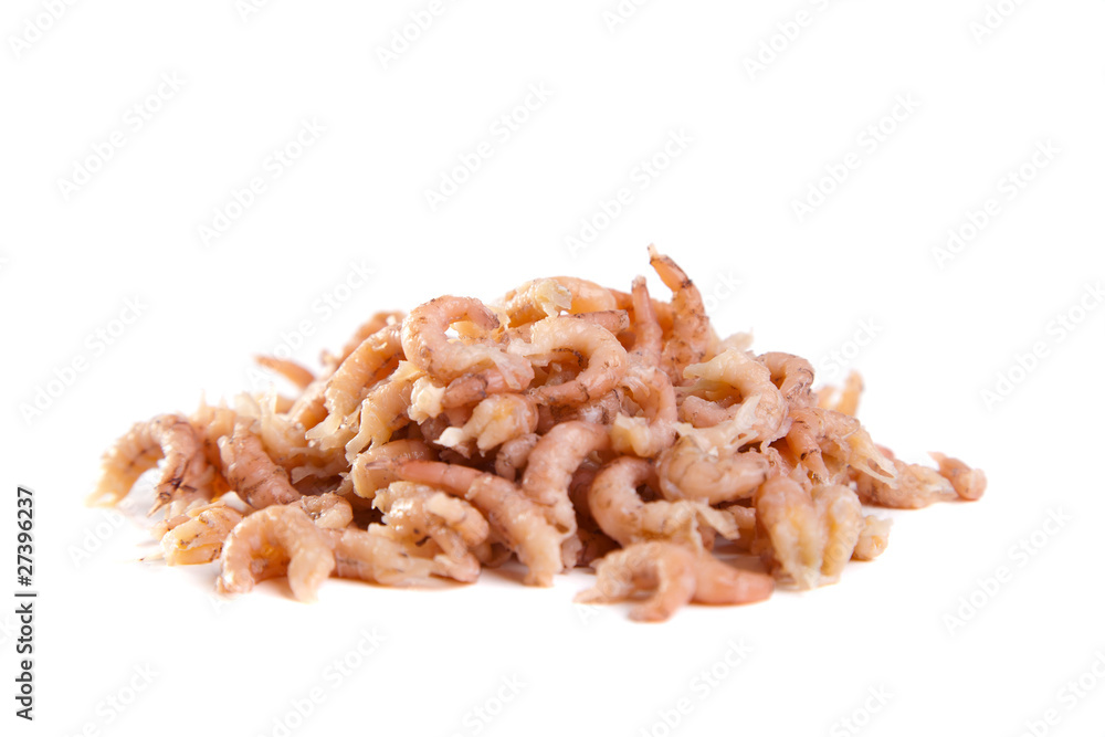 Fresh shrimps Fresh shrimps