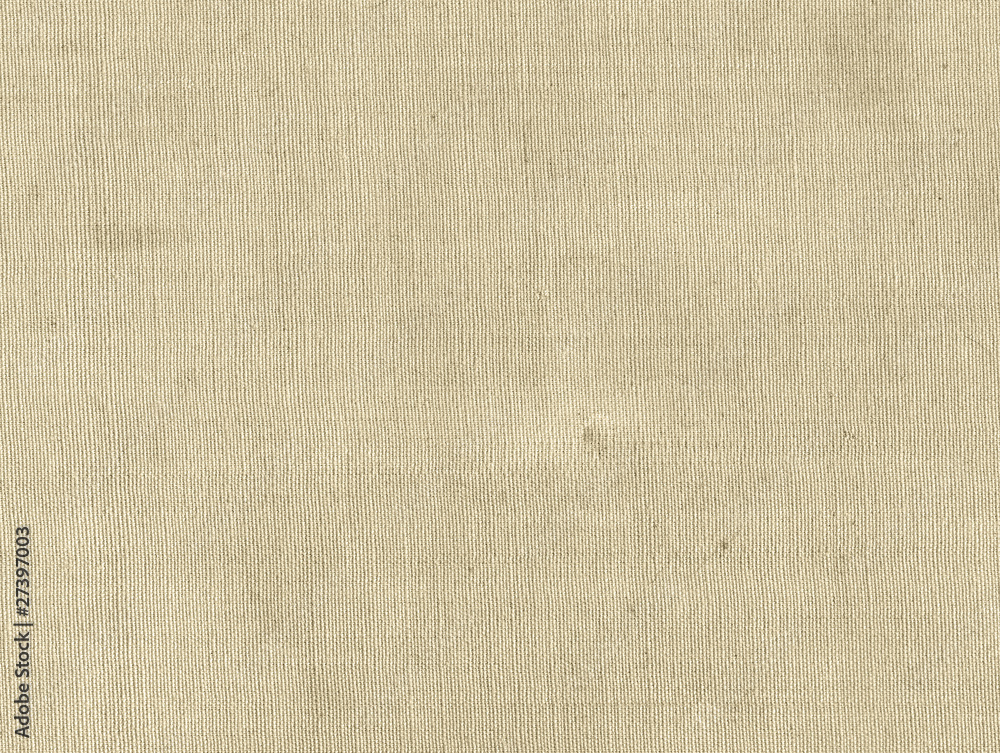Fototapeta premium Canvas background