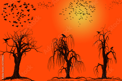 alba tramonto stormi di uccelli
