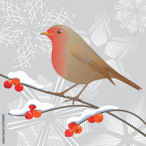 Robin and snowflakes
