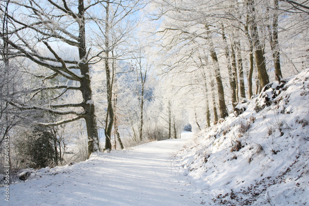 Fototapeta premium Winterlichttunnel 1