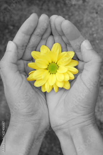 Flower