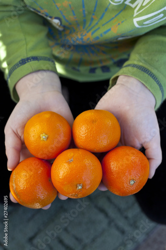 Świeże mandarynki na dłoniach dziecka