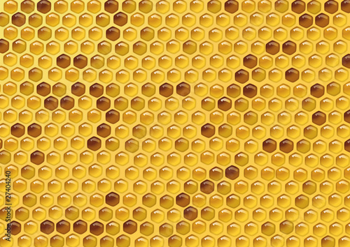 ruche abeille