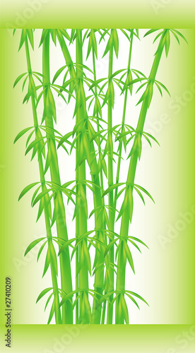 Fototapeta Naklejka Na Ścianę i Meble -  Stalks and bamboo leaves