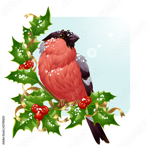 Christmas greeting card. Vector bullfinch and holly photo