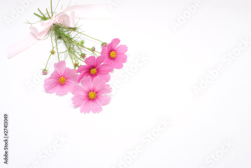 ピンクのコスモスの花束