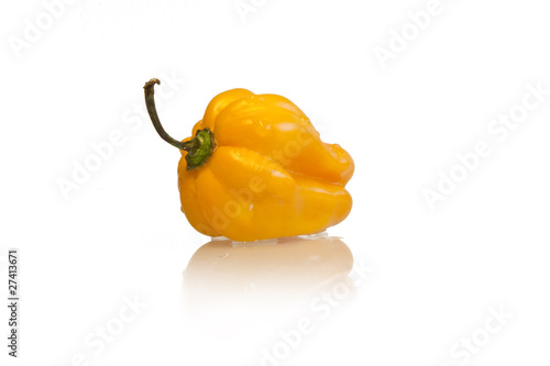 Habanero Chili