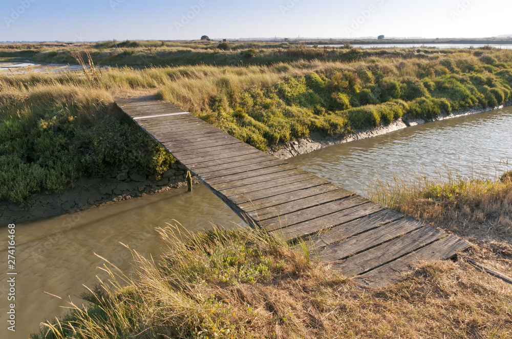 Canal principal (étier) dans les marais salants de Guérande