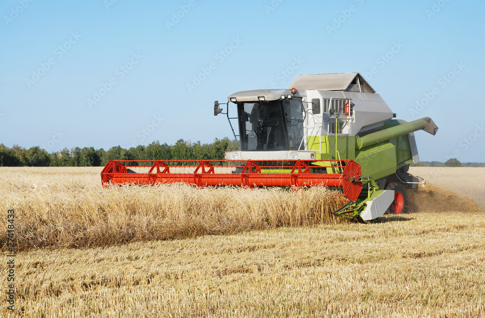 Obraz premium Cleaning of a wheaten field by a combine
