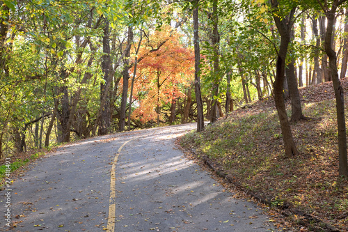 Autumn Cournty Road