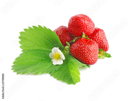 Strawberries with leaves and flower