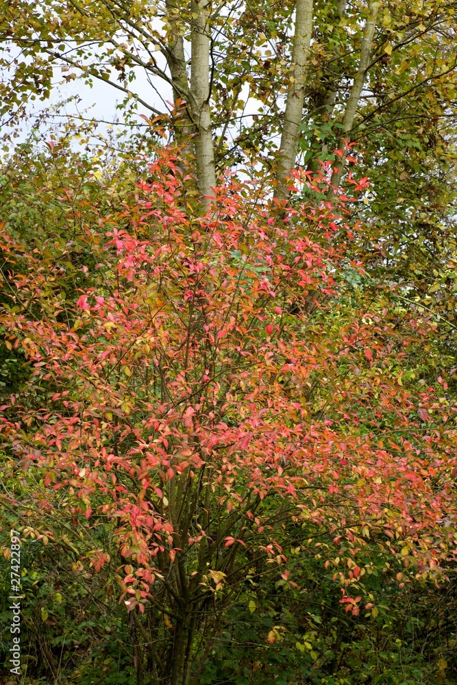 parco naturale parco naturale