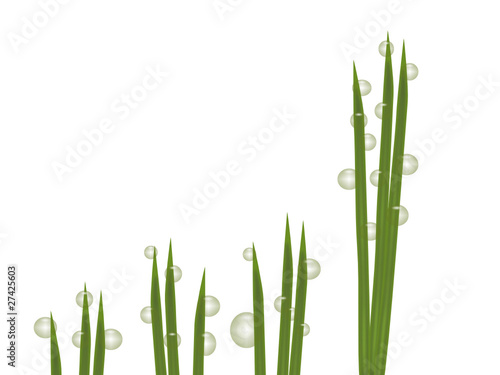 Wassertropfen