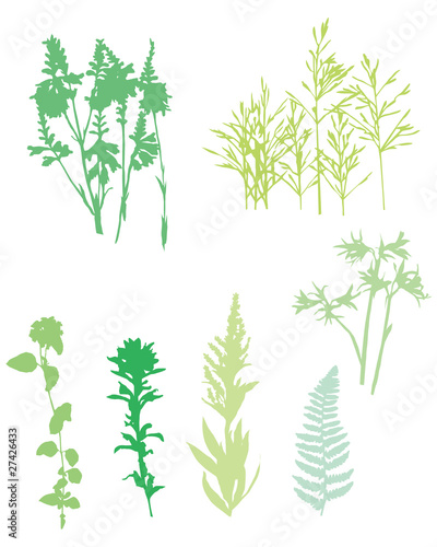 grass set