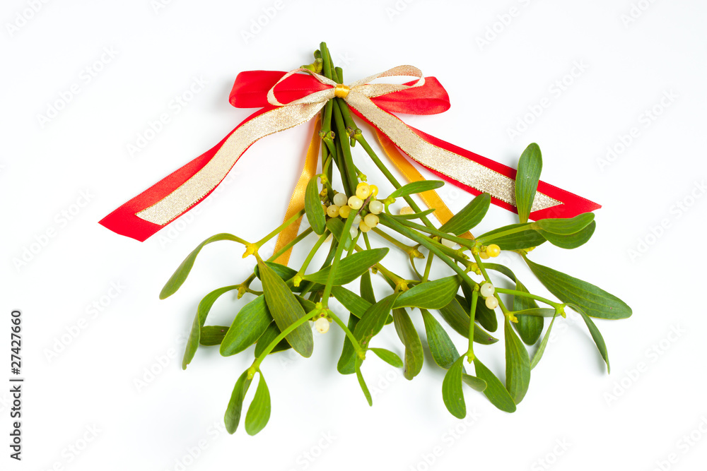 Mistelzweig Stock-Foto  Adobe Stock