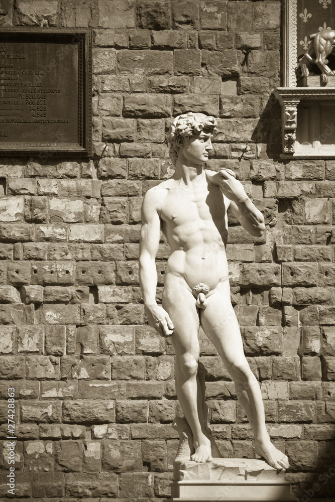 Obraz premium statue of David