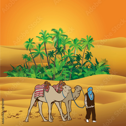 Man with camels on Sahara 