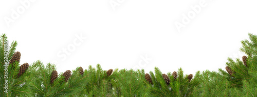 Christmas green framework