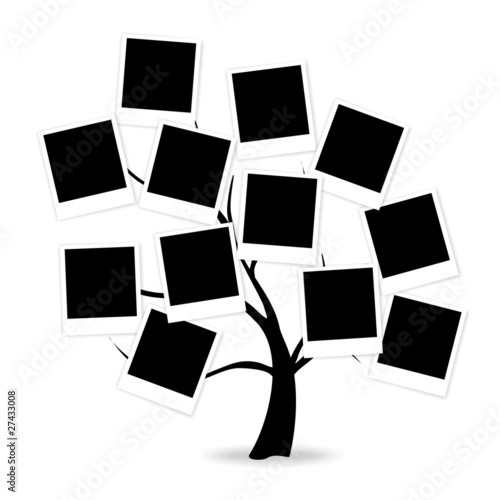 ARBOL GENEALOGICO