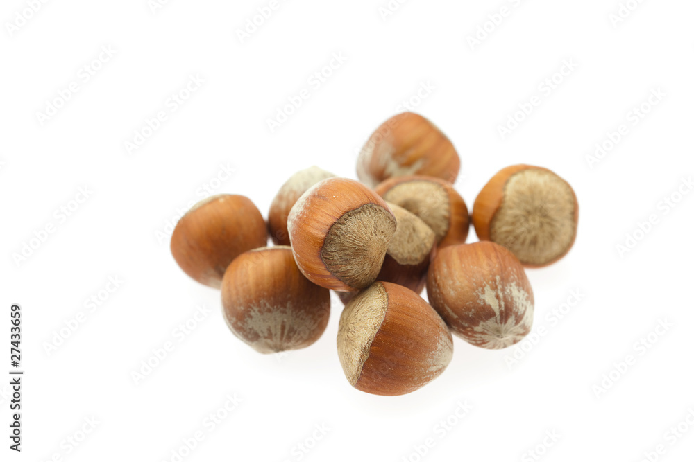 hazelnuts isolated on white hazelnuts isolated on white