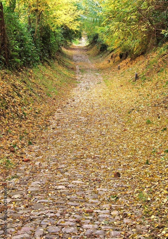 Obraz premium strada antica